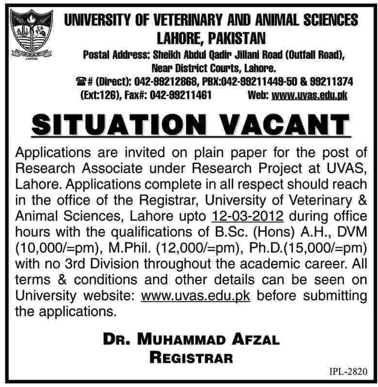 University of Veterinary and Animal Sciences, Lahore Pakistan Required Research Associate