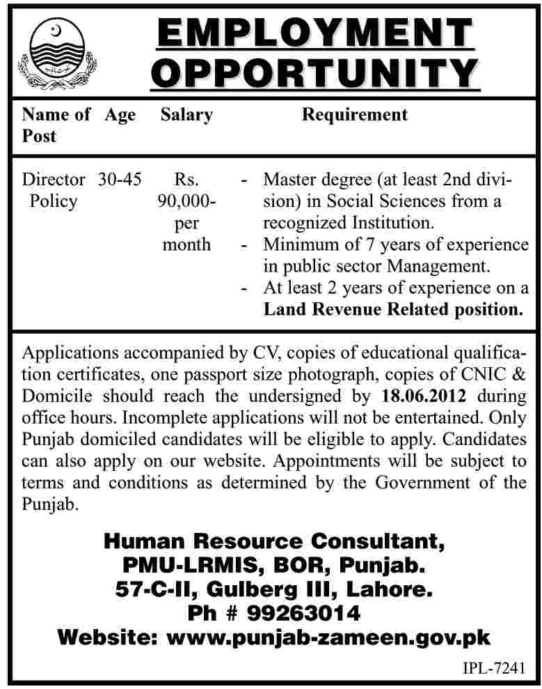 Job as Director Policy in Government of Punjab