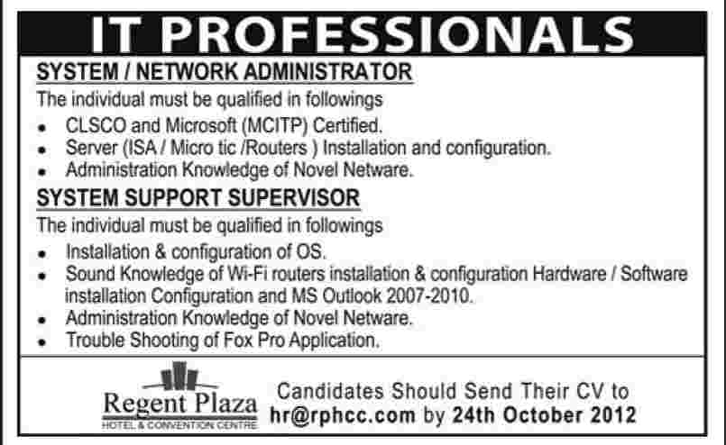 IT Professional Required