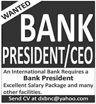 Bank President / CEO Job in International Bank 2013 November