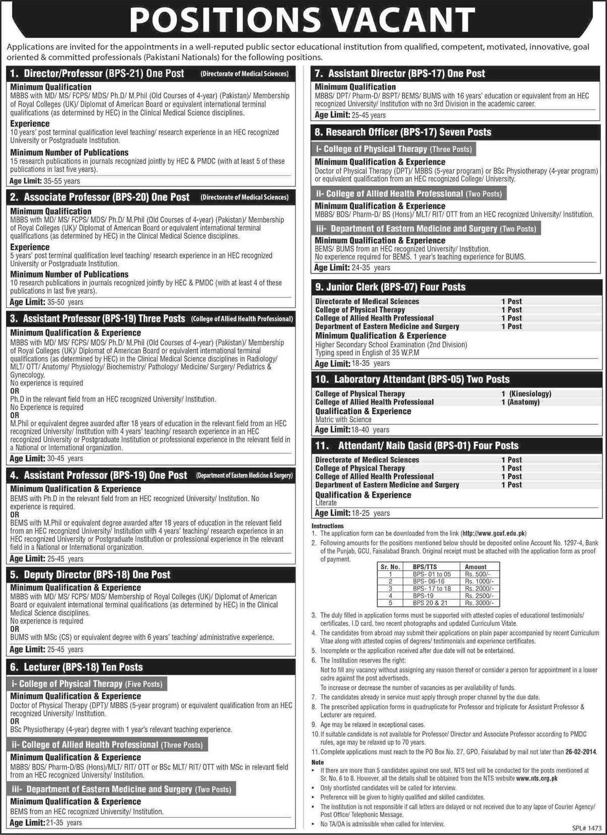 GC University Faisalabad Jobs 2014 February NTS Test