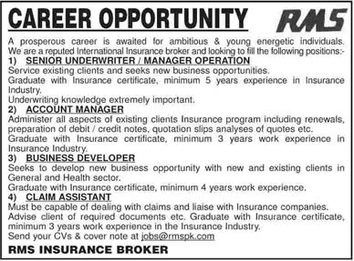 RMS Insurance Broker Jobs 2014 June / July for Operation / Accounts Manager, Business Developer & Claim Assistant