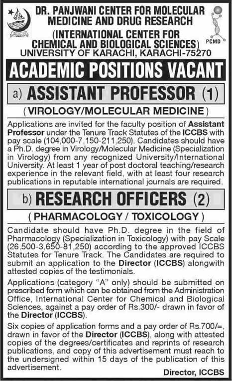 ICCBS University of Karachi Jobs 2014 October for Assistant Professor & Research Officers