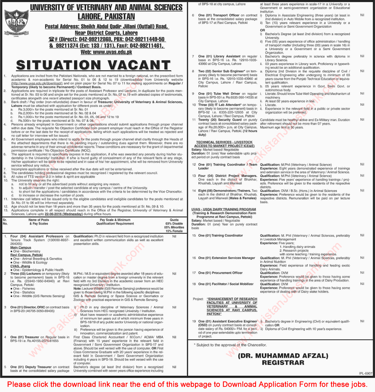 University of Veterinary and Animal Sciences Lahore Jobs July 2016 UVAS Application Form Download Latest
