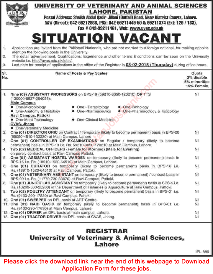 University of Veterinary and Animal Sciences Lahore Jobs 2018 January Application Form Download UVAS Latest