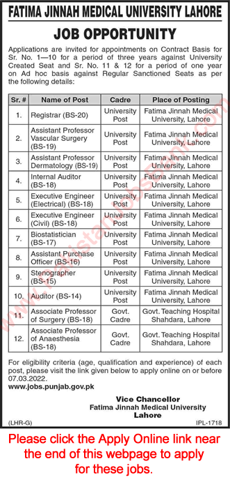 Fatima Jinnah Medical University Lahore Jobs 2022 February FJMU Apply Online Teaching Faculty & Others Latest