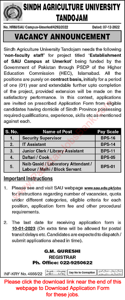 Sindh Agriculture University Tando Jam Jobs December 2022 Application Form IT Assistants & Others Latest