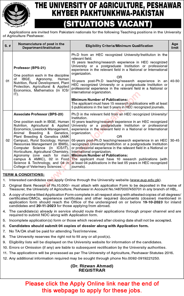 Associate / Professor Jobs in University of Agriculture Peshawar September 2023 Apply Online Latest