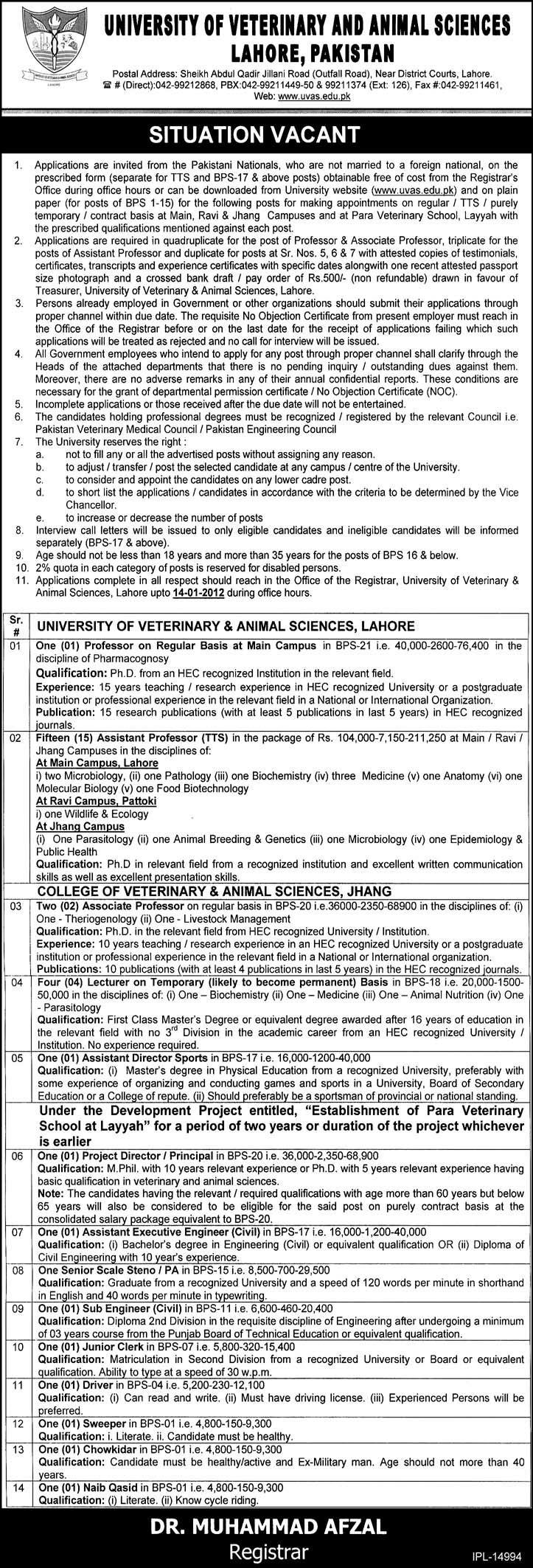 University of Veterinary and Animal Sciences Lahore, Pakistan Jobs Opportunity