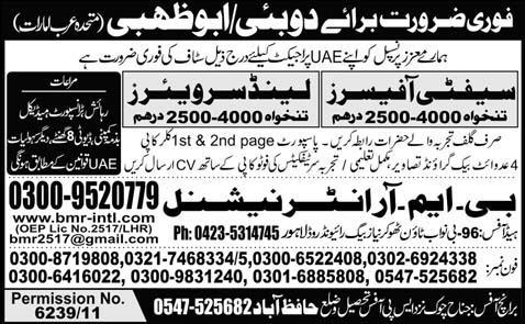 Safety Officers and Land Surveyors Required for Dubai/Abu Dhabi