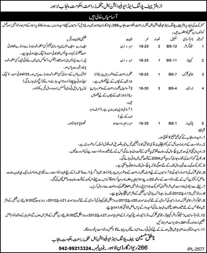 The Office of Chief Planning and Evaluation Cell, Agriculture Department, Lahore Jobs Opportunity