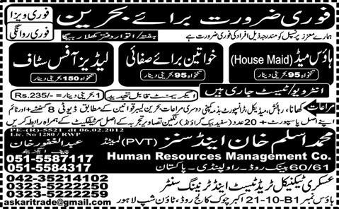House Maid, Cleaner and Office Staff Required