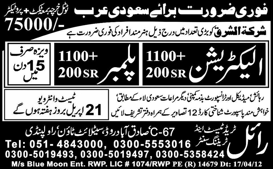 Electrician and Plumber Jobs