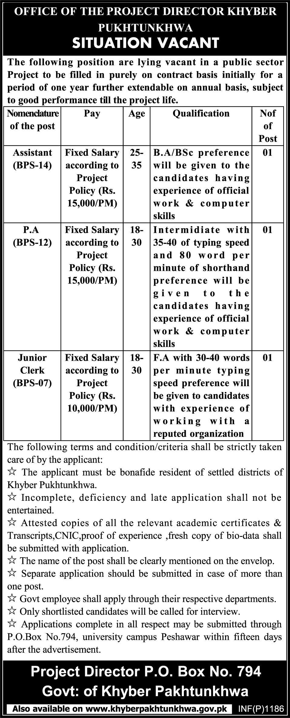 Office of the Project Director KPK (Govt.) Jobs