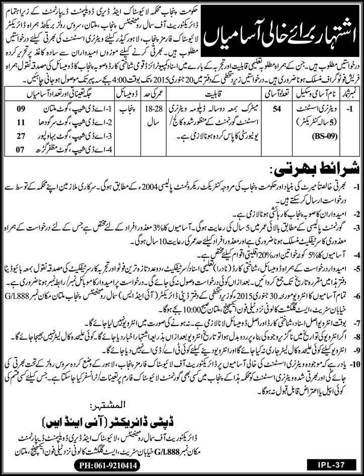 Livestock and Dairy Development Department Punjab Jobs 2015 Veterinary Assistants