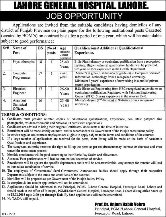 Lahore General Hospital Jobs 2015 February Computer Programmer, Electrical Engineer, Physiotherapist & Stat Officer