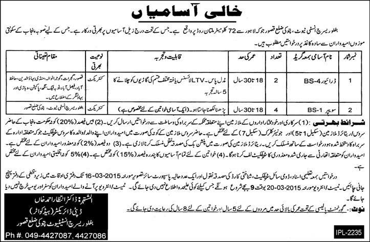 Driver & Sweeper Jobs in Kasur Buffalo Research Institute Pattoki 2015 February / March