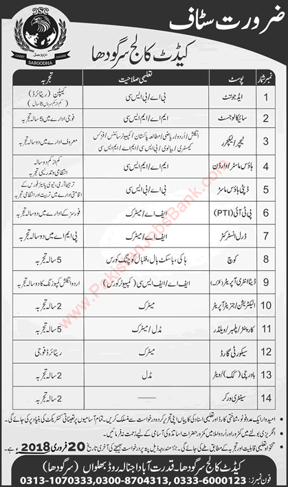 Cadet College Sargodha Jobs 2018 Lecturers / Teachers, DEO, Cook, Security Guards & Others Latest