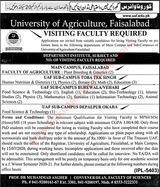 Teaching Faculty Jobs in University of Agriculture Faisalabad July 2020 UAF FSD Latest