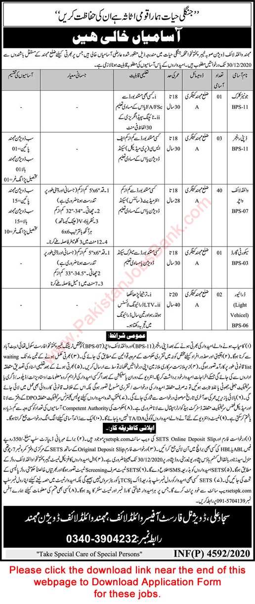 Wildlife Department KPK Jobs December 2020 Mohmand Division SETS Application Form Wildlife Watchers & Others Latest