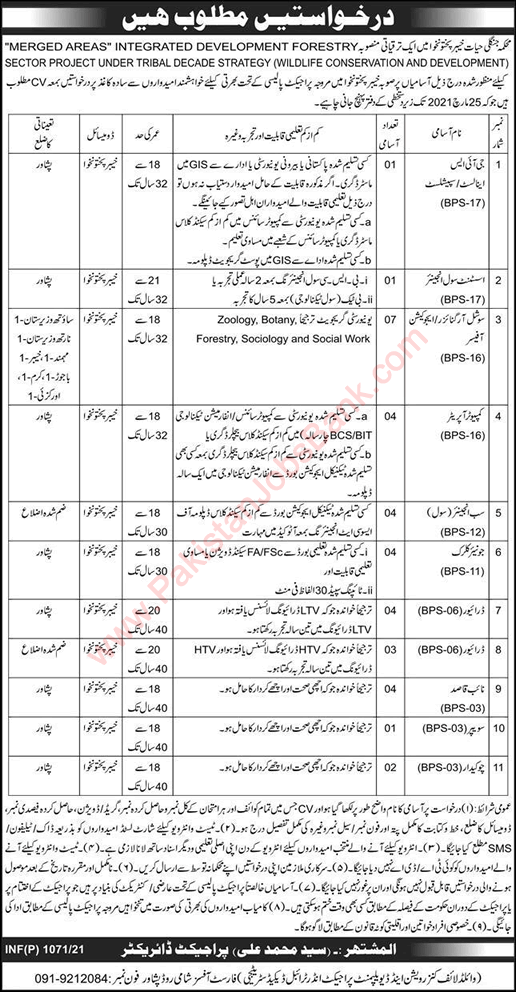 Forestry Environment and Wildlife Department KPK Jobs 2021 March Social Organizer, Education Officers & Others Latest