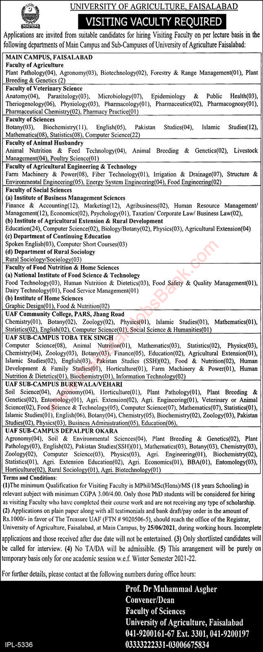 Visiting Faculty Jobs in University of Agriculture Faisalabad June 2021  UAF Latest
