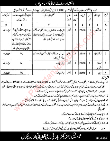 Barani Agriculture Research Institute Chakwal Jobs 2021 August CEFORT Project Latest