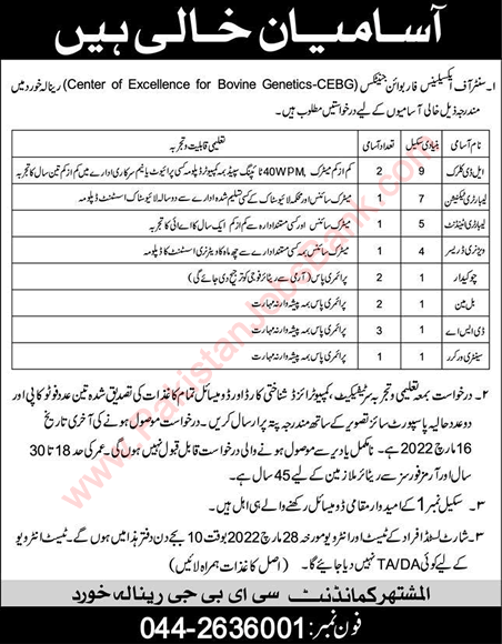 Center of Excellence for Bovine Genetics Renala Khurd Jobs 2022 February CEBG Okara Pak Army Latest