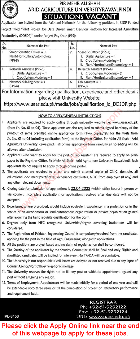 Arid Agriculture University Rawalpindi Jobs April 2022 Apply Online AAUR PMAS Scientific Officers & Others Latest