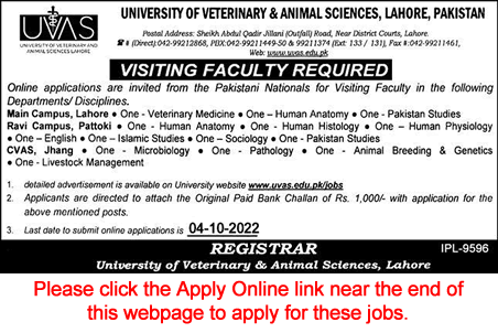 Visiting Faculty Jobs in University of Veterinary and Animal Sciences Lahore September 2022 Online Apply Latest