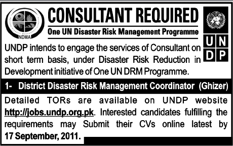 Consultant Required in UNDP