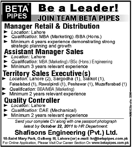 Beta Pipes Required Professionals