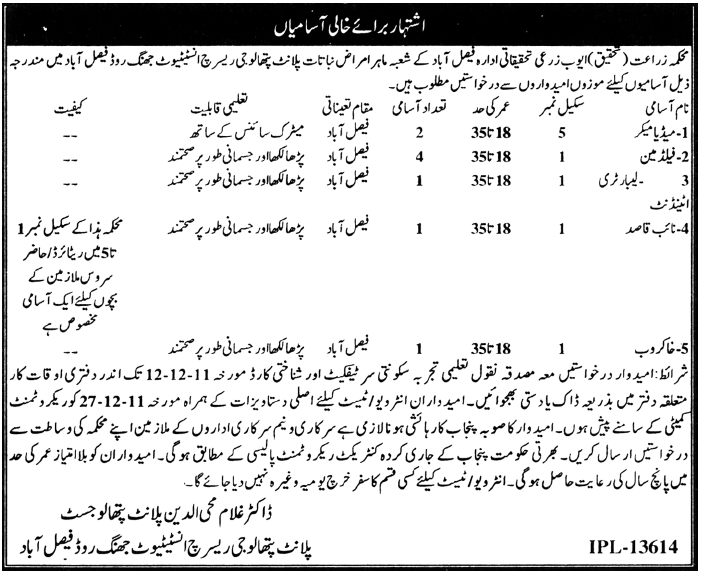 Department of Agriculture (Research) Faisalabad Jobs Opportunity