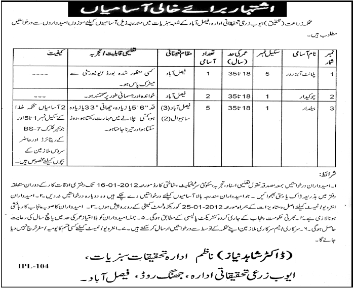 Ayoub Agriculture Research Center Faisalabad Required Staff