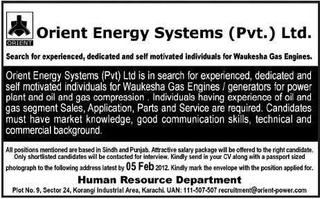 Orient Energy Systems Pvt Ltd Required Sales Individuals