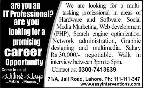 Willing Ways Lahore Required IT Professional
