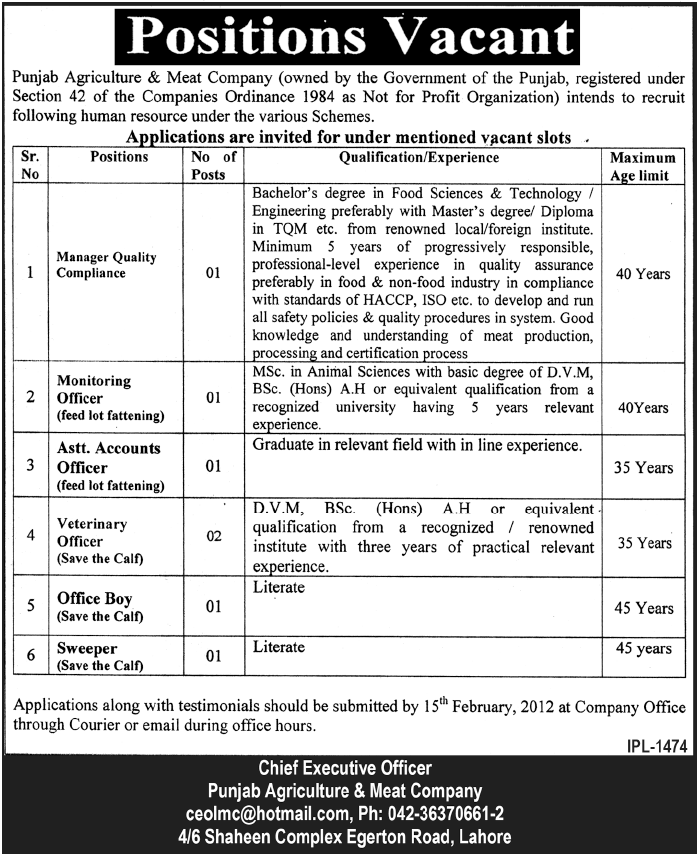 Punjab Agriculture & Meat Company Jobs Opportunity