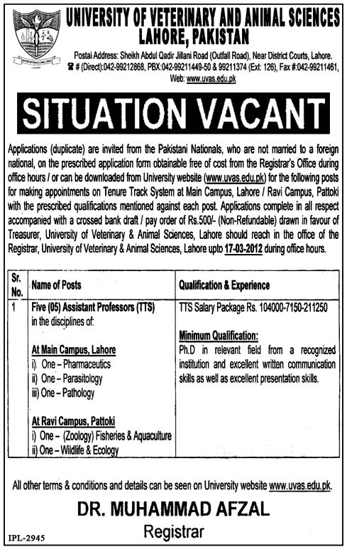 University of Veterinary and Animal Sciences (Govt Jobs), Lahore Requires Assistant Professors