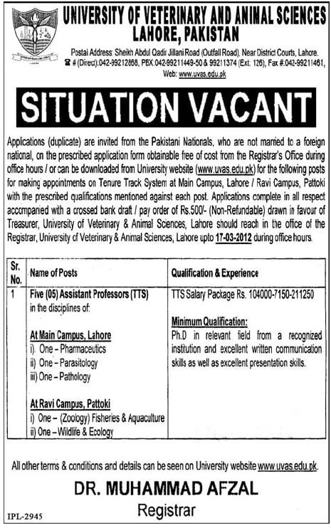University of Veterinary and Animal Sciences (Govt Jobs) Requires Assistant Professors