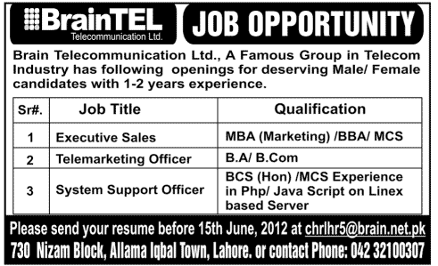 Marketing and System Support Officer Jobs at Brain Telecommunication Ltd