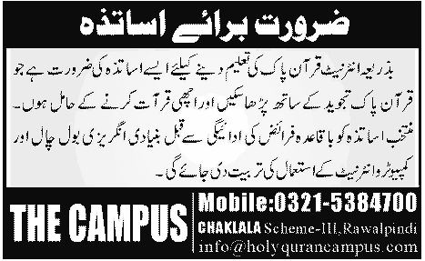 Online Quran Tutor Required