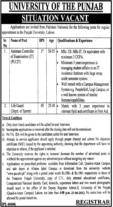 University of the Punjab Required Assistant Controller of Examination (IT) and Life Guard (Govt. job)
