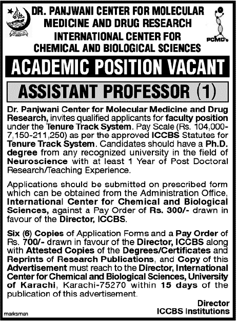 Assistant Professor Required at ICCBS Institute