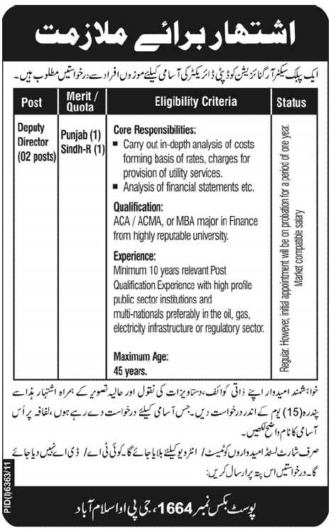 Deputy Director Required by a Public Sector Organization