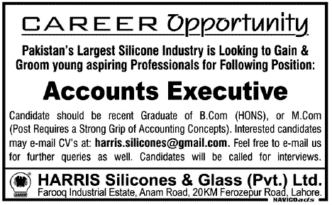 Accounts Executive Required at Silicone Industry