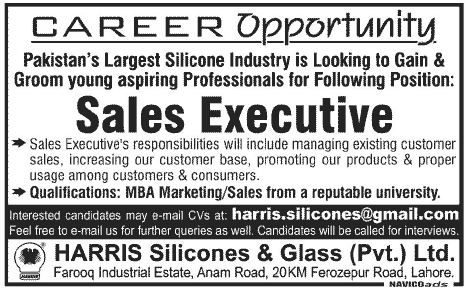 Sales Executives Required by Silicon Industry