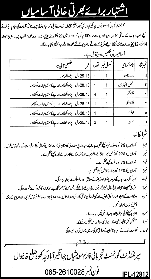 Naib Qasid and Support Staff Required Under Government of Punjab (Government Job)