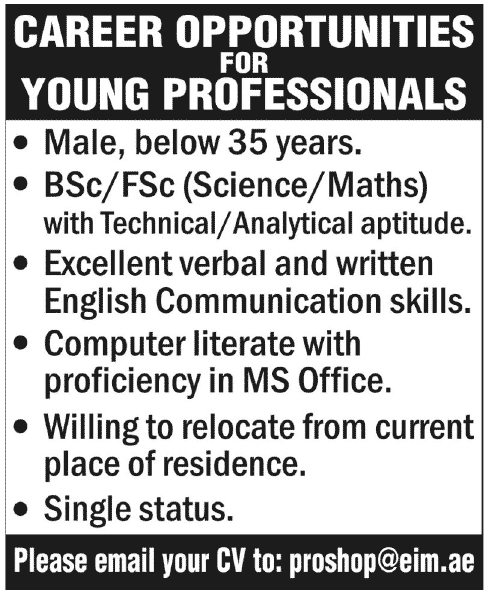 Jobs for Young Professionals