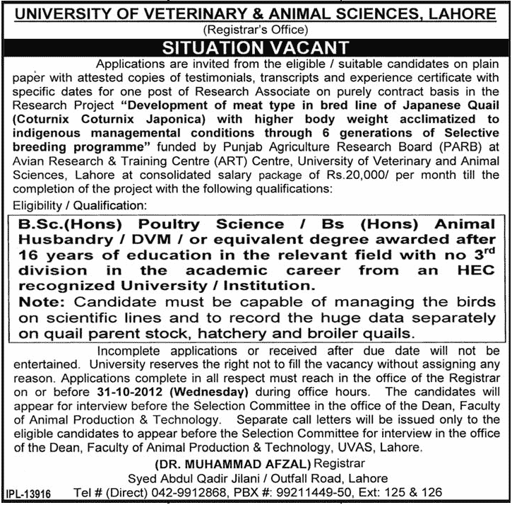 Research Associate Job at Avian Research & Training Centre ART – University of Veterinary and Animal Sciences Lahore