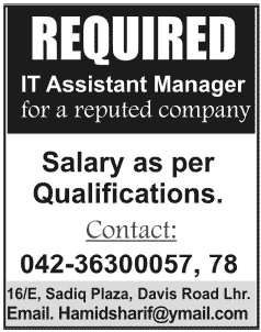 A Company Needs IT Assistant Manager